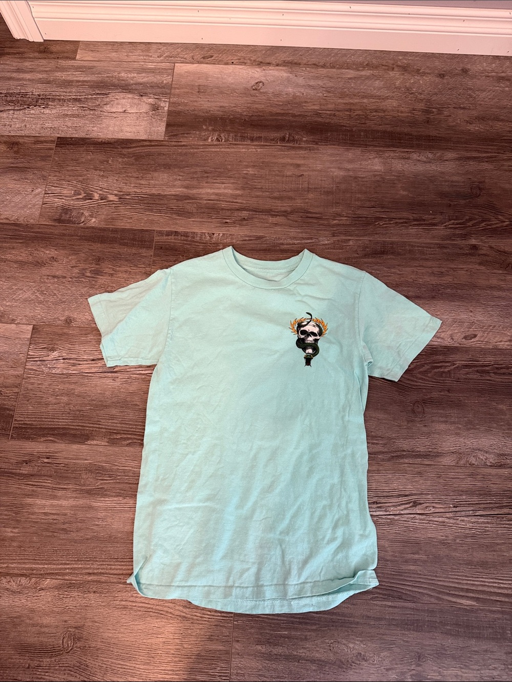 Men's Short Sleeve Teal Graphic Tee with Skull & Snake